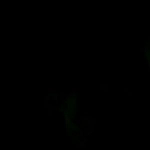 Meet your Posher, Janeen