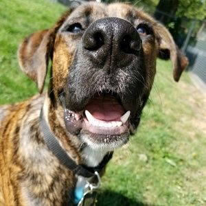 Meet your Posher, Summer