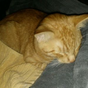 Meet your Posher, Melissa