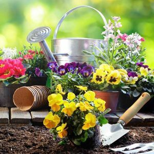 Meet your Posher, Skye