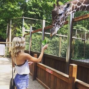 Meet your Posher, Sara