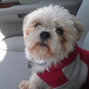 Meet your Posher, Leeann