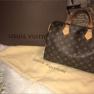 Louis Vuitton hand bag