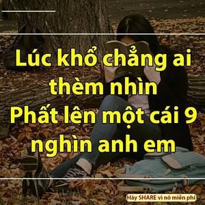 Meet your Posher, Anh