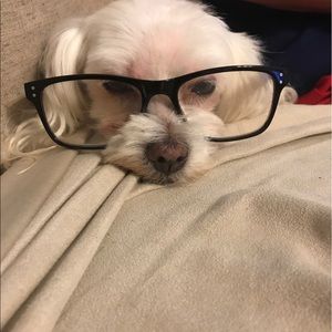 Meet your Posher, Tammy