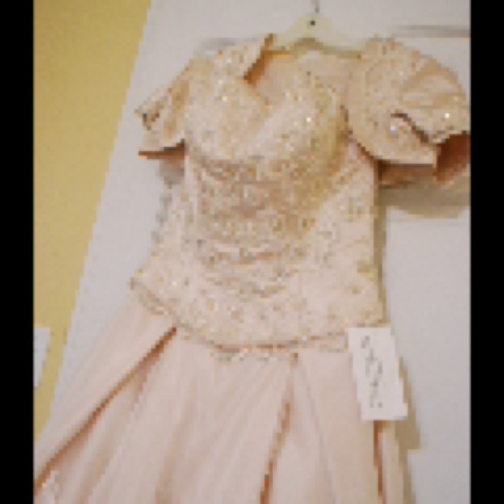Never Worn Quinceanera/Wedding Dress for sale