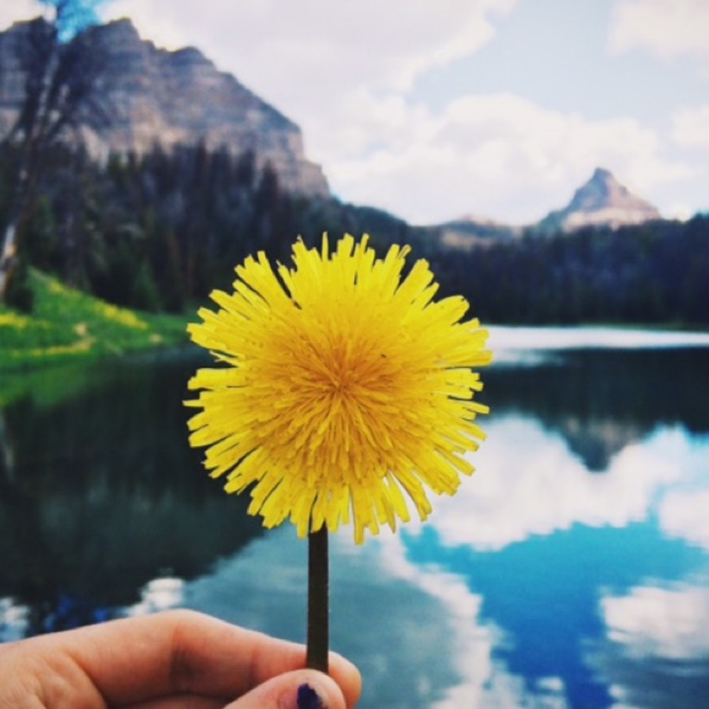 Meet your Posher, Grace