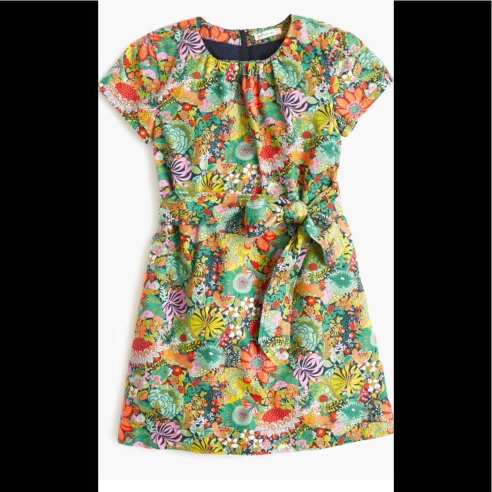 J Crew Cuts Liberty Art Fabrics Elodie Bea dress