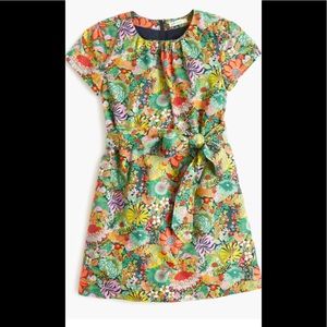 J Crew Cuts Liberty Art Fabrics Elodie Bea dress