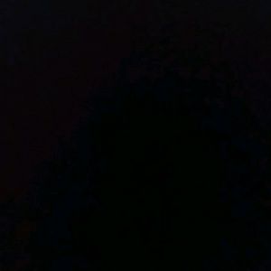 Meet your Posher, Kendall