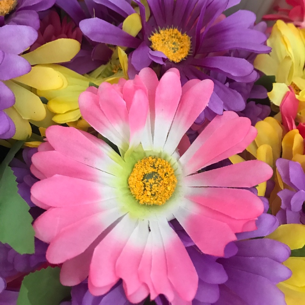 Meet your Posher, Carolyn