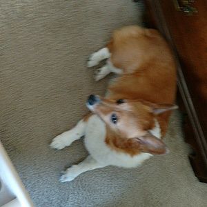 Meet your Posher, Barbara