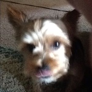 Meet your Posher, Glenn