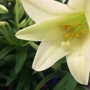 Meet your Posher, Sara