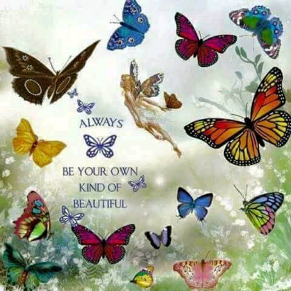 Meet your Posher, Cynthia