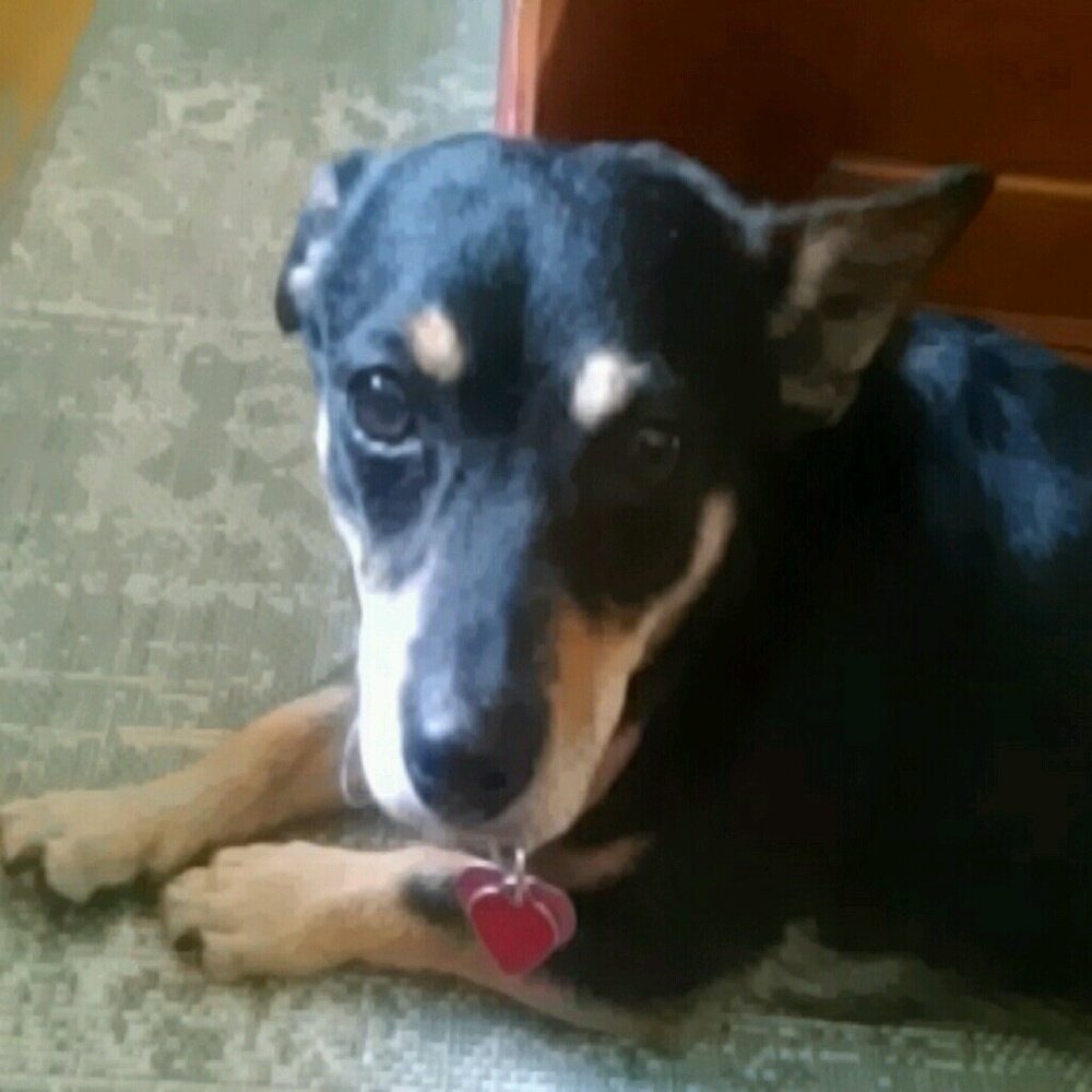 Meet your Posher, Lynn