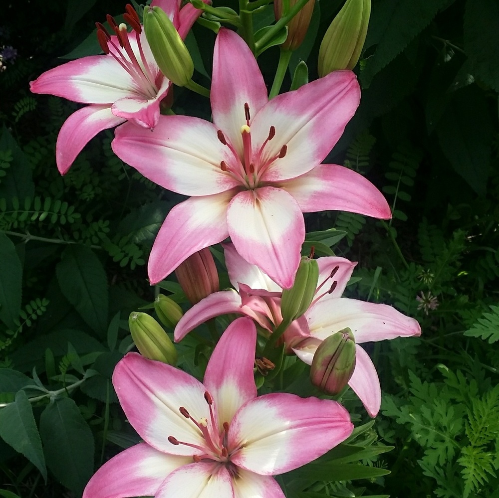 NEED TO MAKE MY FIRST 10 SALES, MAKE ME AN OFFER!