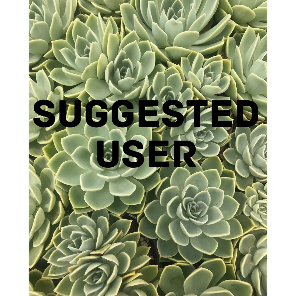 π΅π΅π΅Suggested Userπ΅π΅π΅