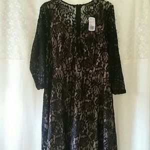FOREVER 21 BLACK LACE SWING DRESS