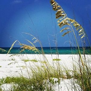 Meet your Posher, Jan