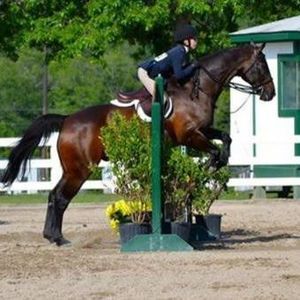 Meet your Posher, Jennifer