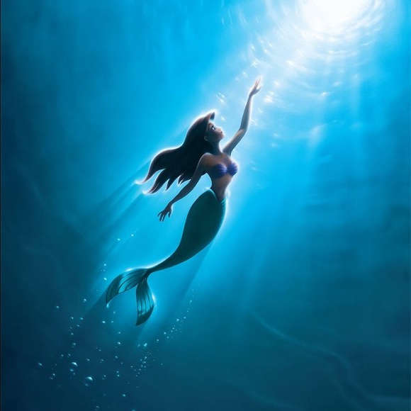 Meet your Posher, Abby - Picture 1 of 1