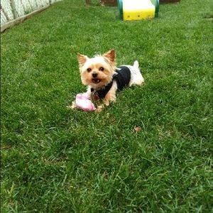 Meet your Posher, Zohar