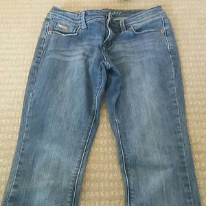 The Limited Straight Leg Jeans