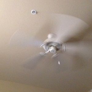 Meet your Posher, Annette