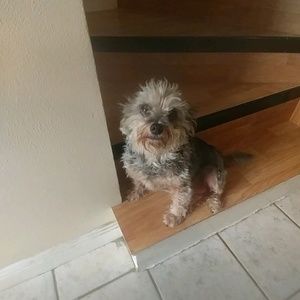 Meet your Posher, Sandra