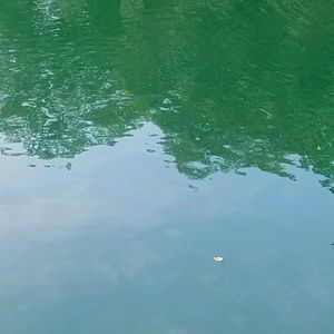 Meet your Posher, Queen