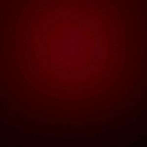 Meet your Posher, Gavin