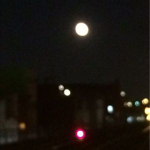 Meet your Posher, Princess