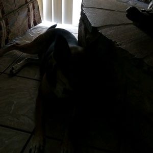 Meet your Posher, Noris