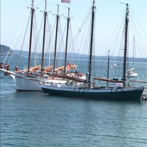 Meet your Posher, Dozie