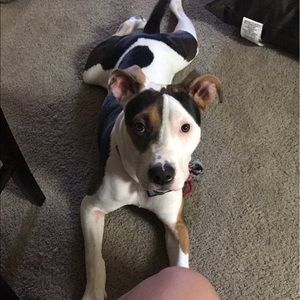 Meet your Posher, Alexandria