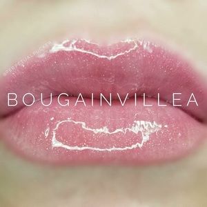 Lipsense Bougainvillea Glossy Gloss In Stock!