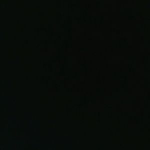 Meet your Posher, Yahaira