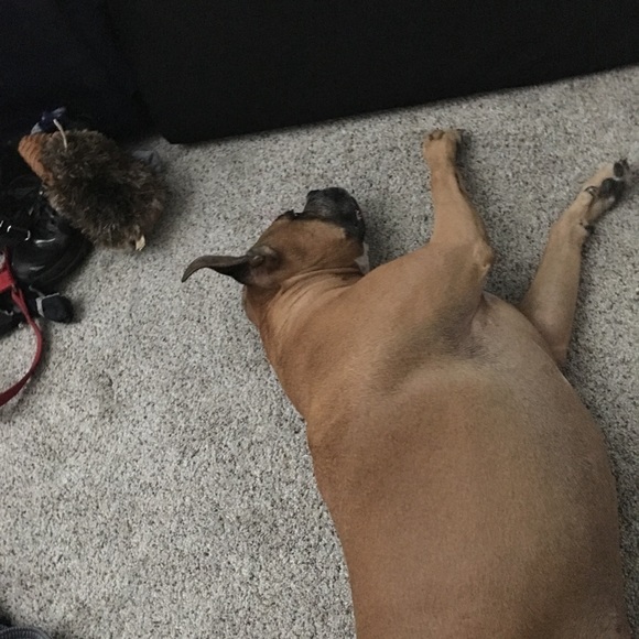 Meet your Posher, Brittany - Picture 5 of 8