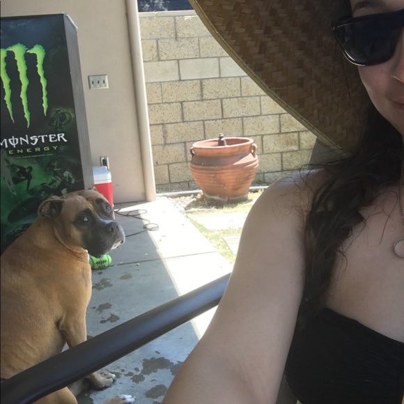 Meet your Posher, Brittany - Picture 7 of 8