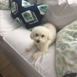 Meet your Posher, Barbara