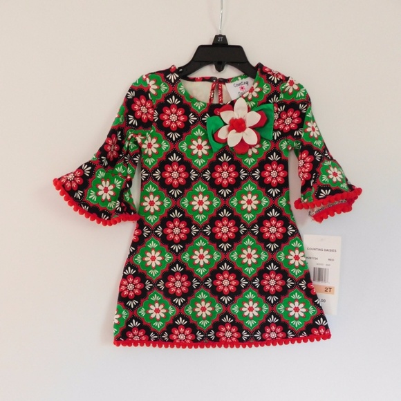 Counting Daisies Other - Counting Daisies Holiday Dress Size 2T Dress NWT