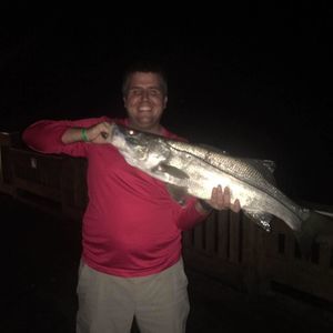 Meet your Posher, Phillip