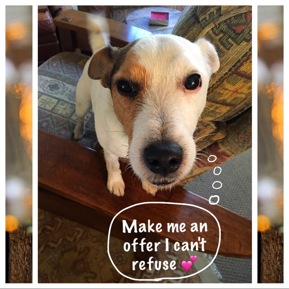 💕Make me an offer💕
🔴 NOT FOR SALE 🔴