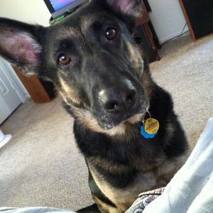 Meet your Posher, Kathy