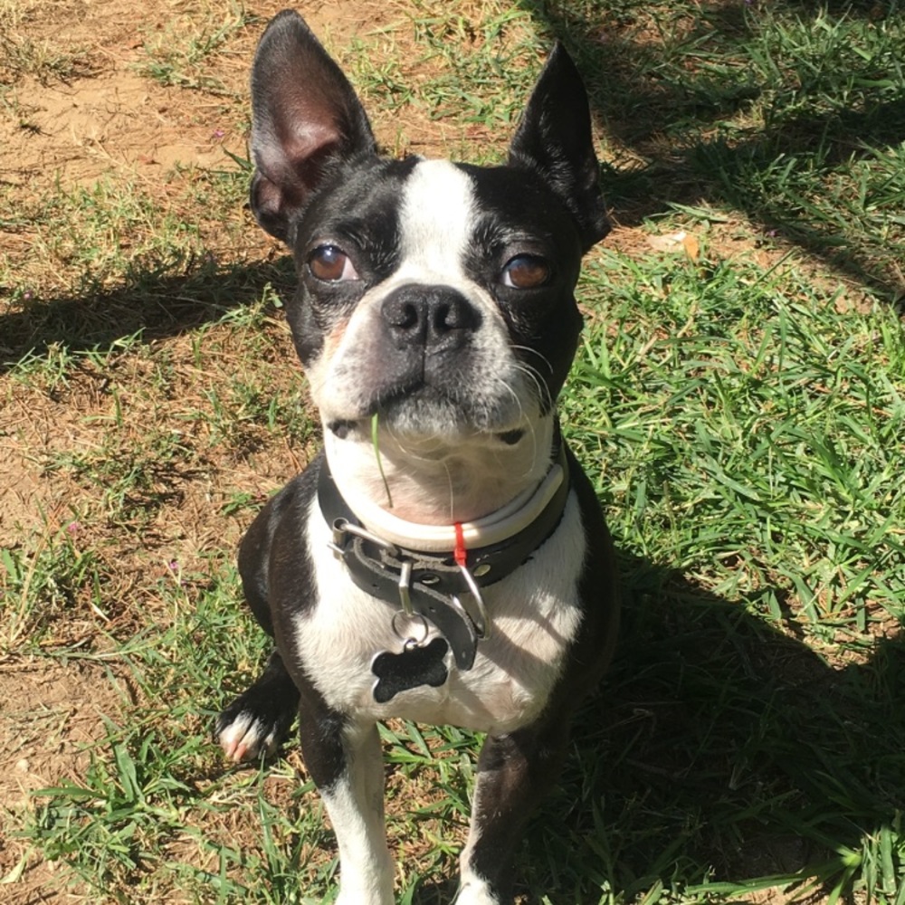 Meet your Posher, Reyna