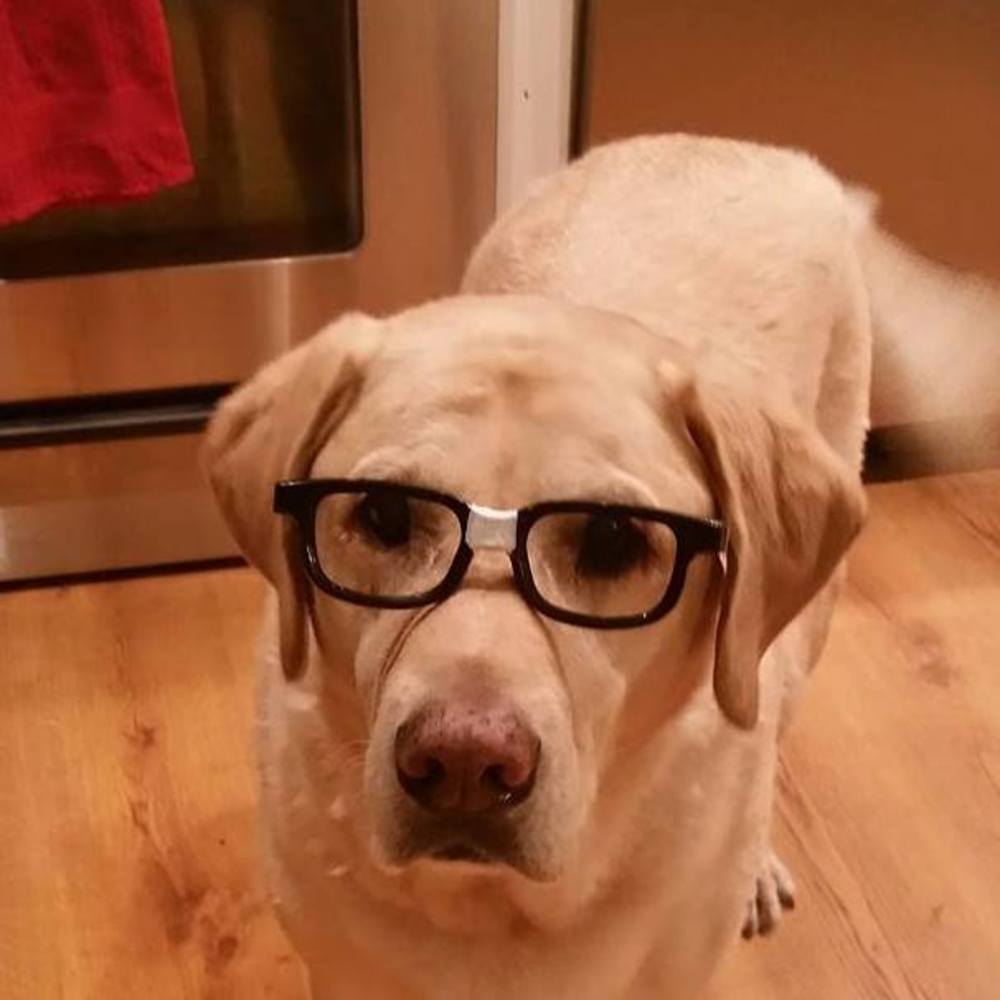 Meet your Posher, Wendy