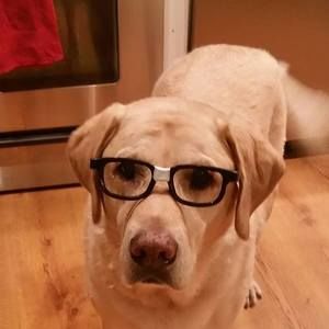 Meet your Posher, Wendy