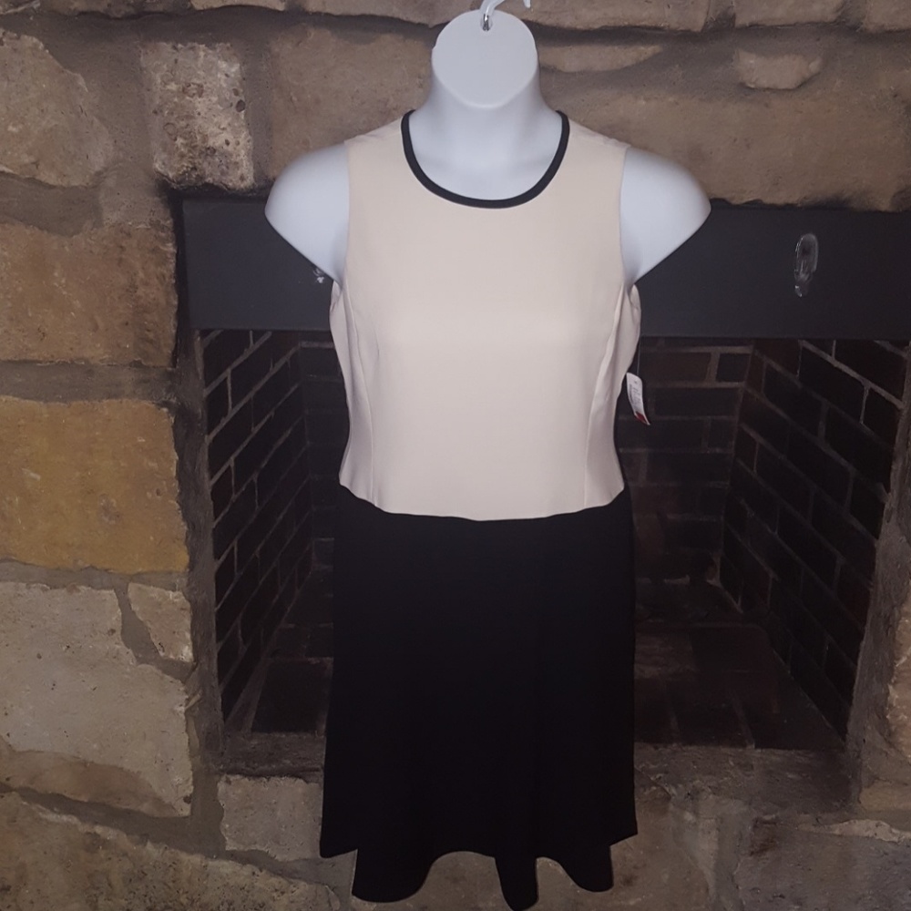 💗Ralph Lauren Black & Cream Petite Dress NWT💗