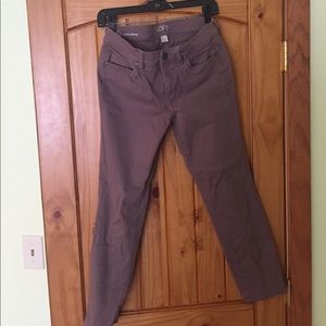 Ann Taylor Modern Skinny Jeans